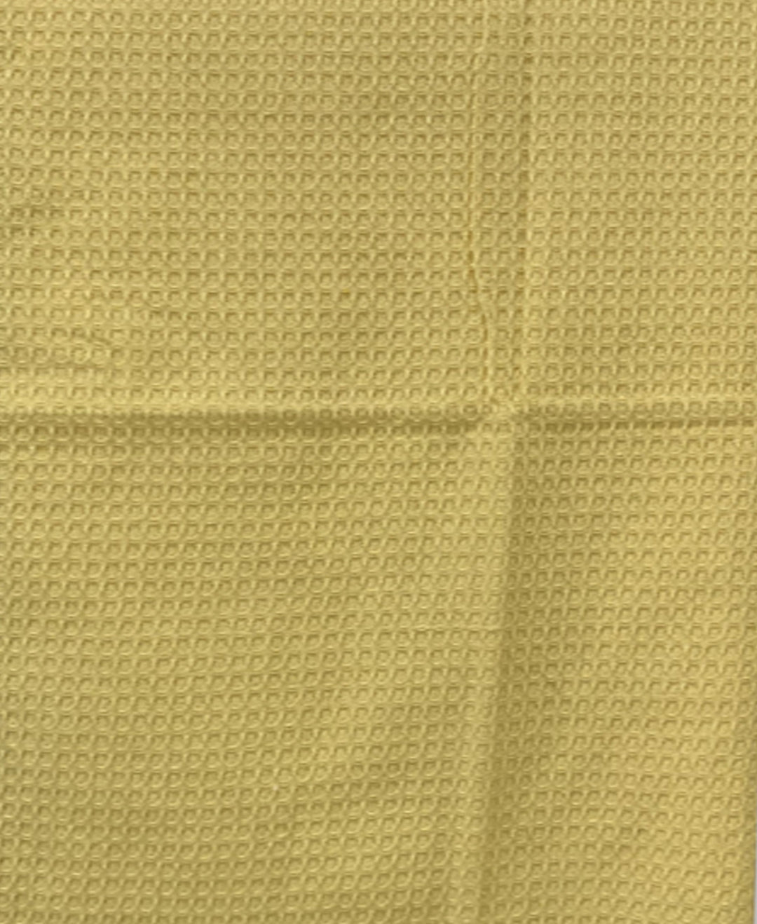 Yellow & White Light weight Premium Cotton Bath Towel (Pack of 2) by Athom Living - Athom Living