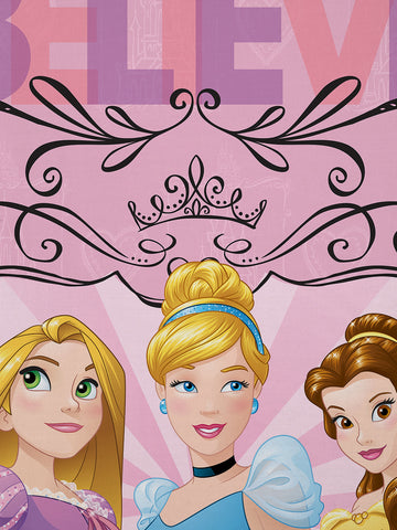 Disney If You Can Dream It You Can Do It Princess Cotton Single Bedsheet Set