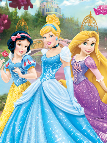 Disney Princess Cushion Cover 16x16 /40x40cm