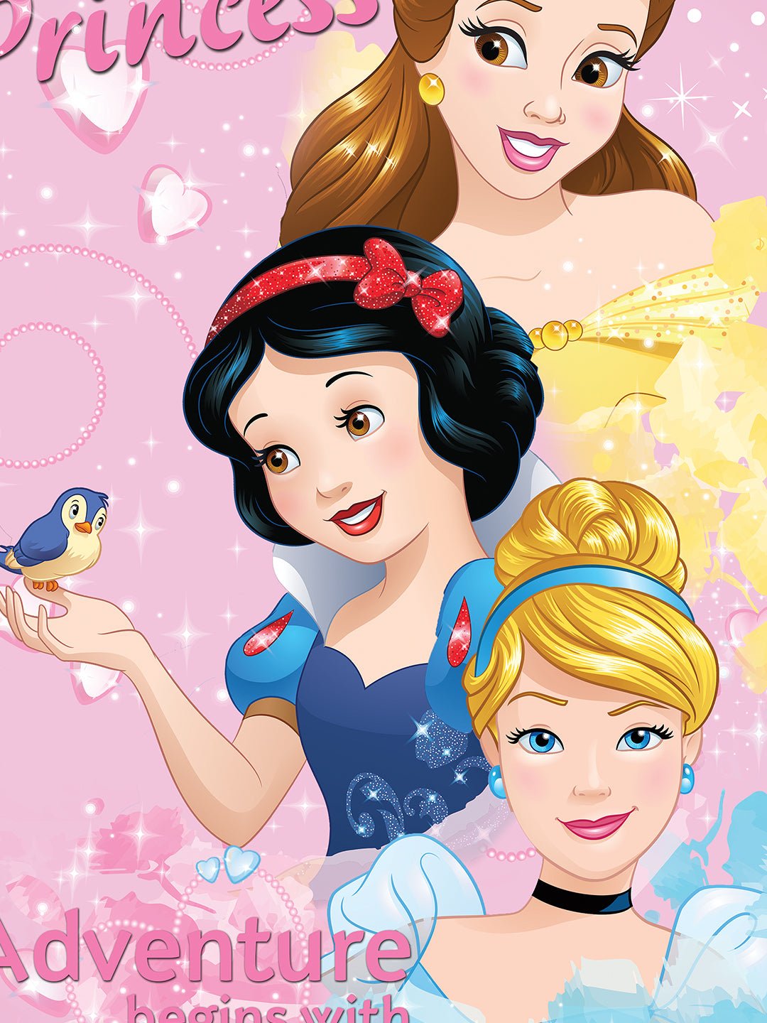 Disney Discover Your Dreams Princess Cotton Double Bedsheet Set - King Size - Athom Living